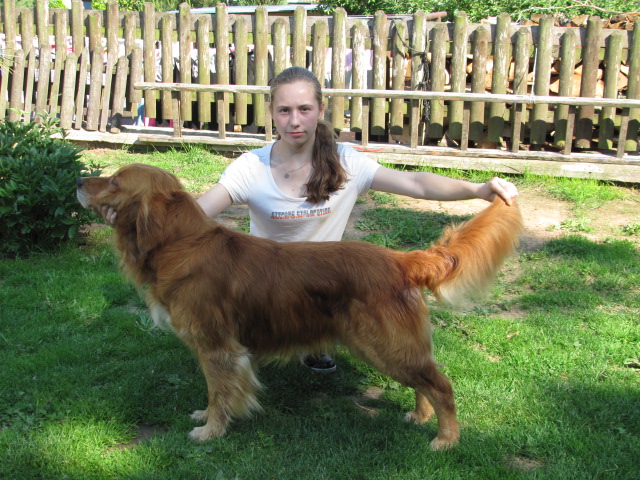17.6.2012 Baron